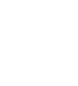 The Nolan Company